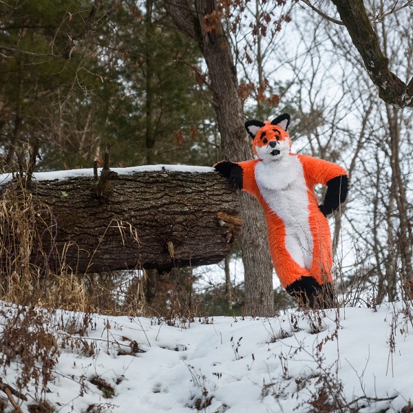 fox fursuiter poses next to snowy tree